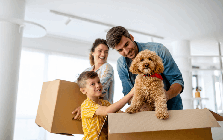 buyers - eveleighs